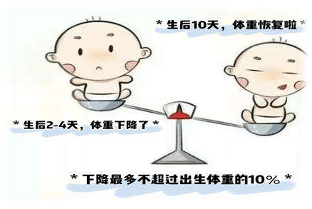 新生宝宝体重缩水了为什么呢