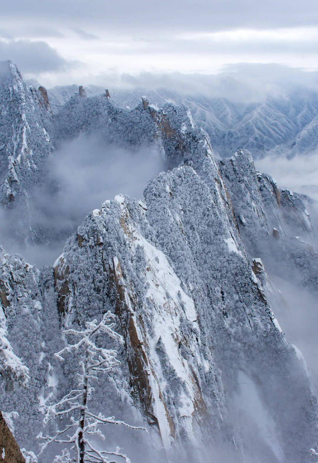 推荐丨寒意渐浓,来华山观雪泡温泉吧