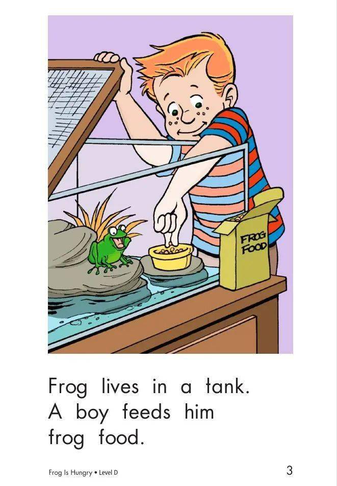 【绘本故事】青蛙饿了_frog
