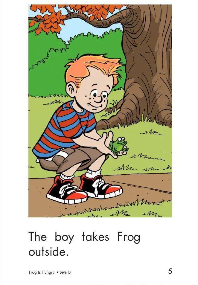 【绘本故事】青蛙饿了_frog