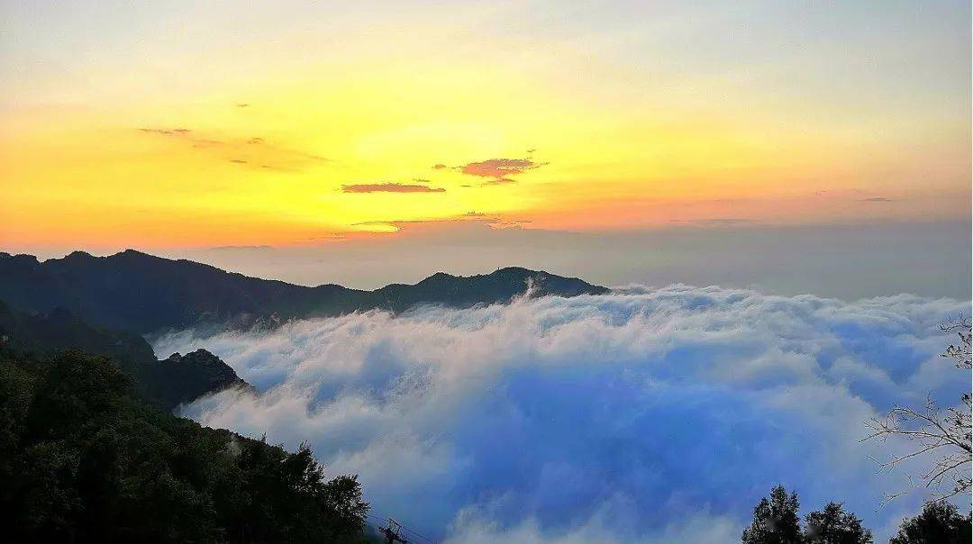 最近,受天气影响白石山被云海占据夏日好时光,赴一场云海大观之约景区