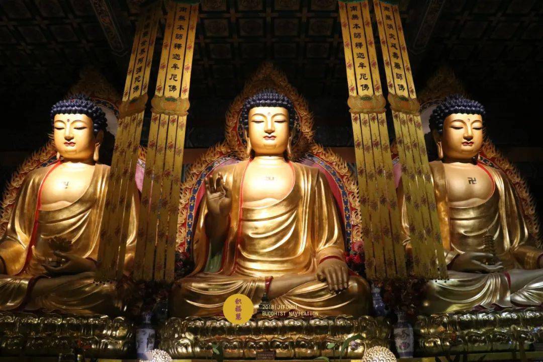 狮子吼 | 为何人生充满不安?佛陀早已揭示答案!