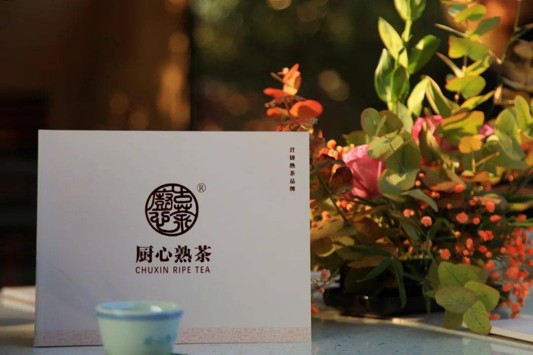 会知音悦生活厨心龙鼎高端熟茶品赏会