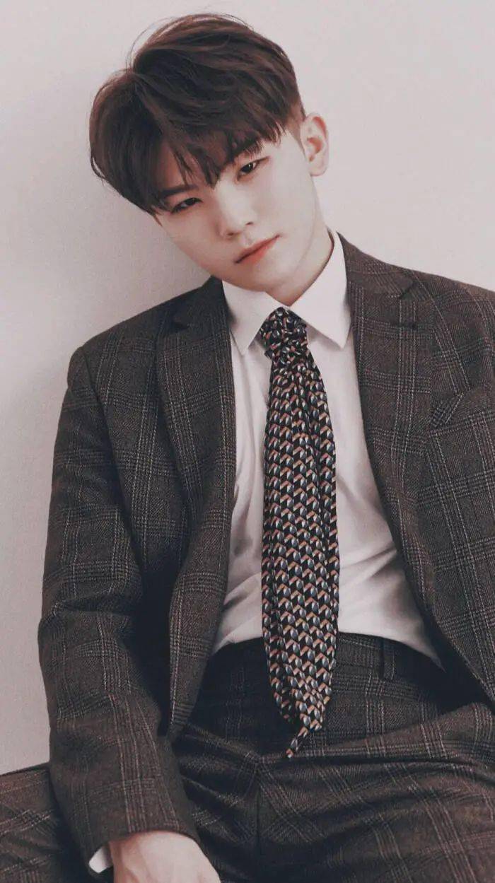 手机壁纸seventeen李知勋