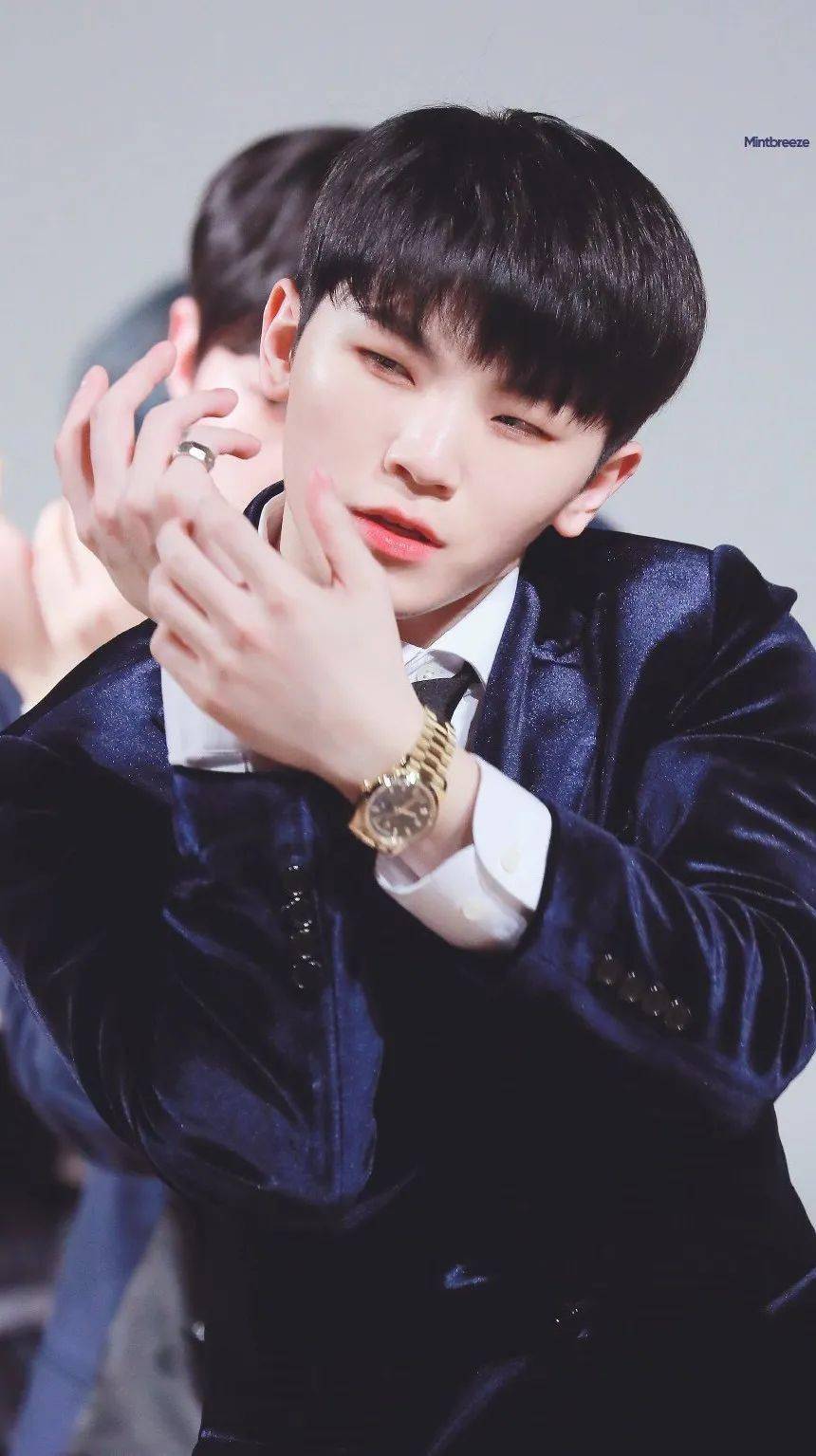 手机壁纸seventeen李知勋