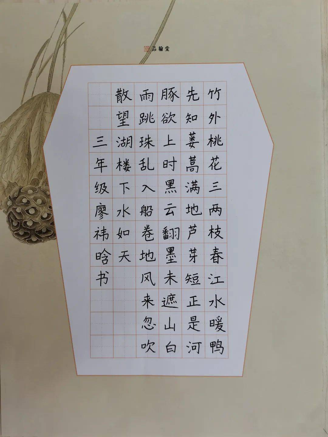 潘楷中(大班)陈婧苗(三年级)陈吴昕(三年级)李涵凝(六年级)优秀习作展