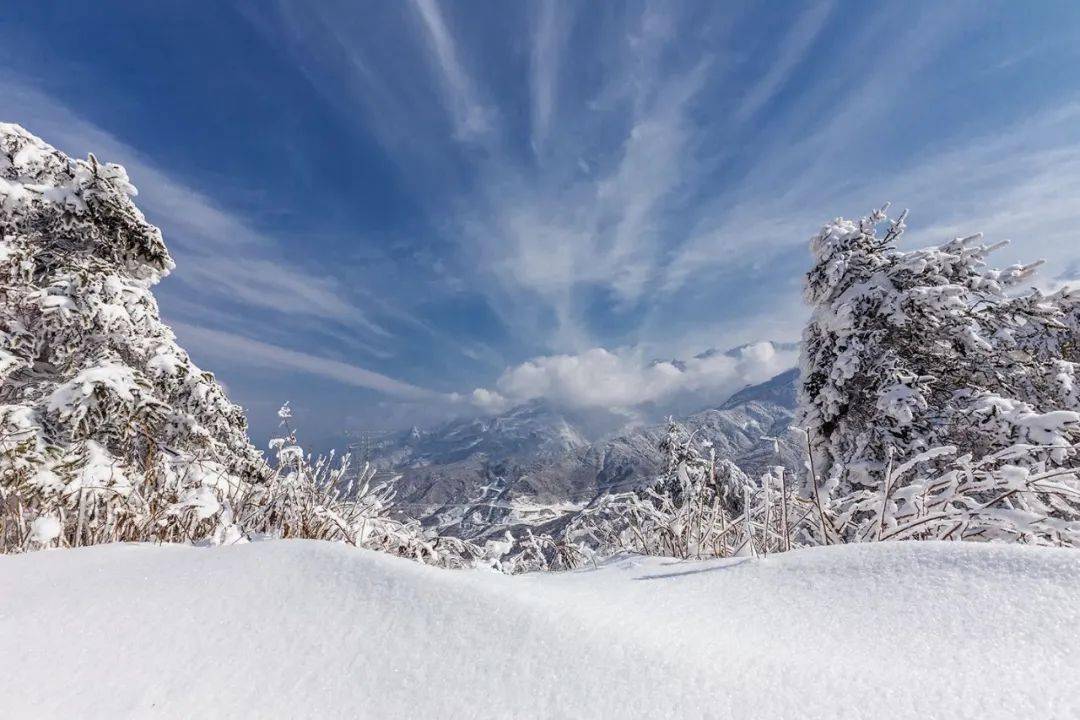 大雪习俗——(唐)寒山 《杳杳寒山道》朝朝不见日,岁岁不知春.
