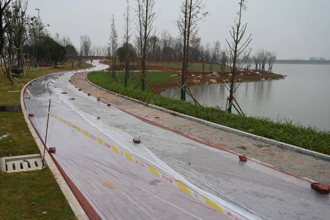 东湖十景逐步恢复东湖大道香樟有新去处记者打卡环东湖治理建设工地