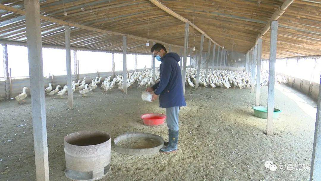 积极实施产业引领持续增收工程,培育经济增长新引擎"为目标,旬邑县土