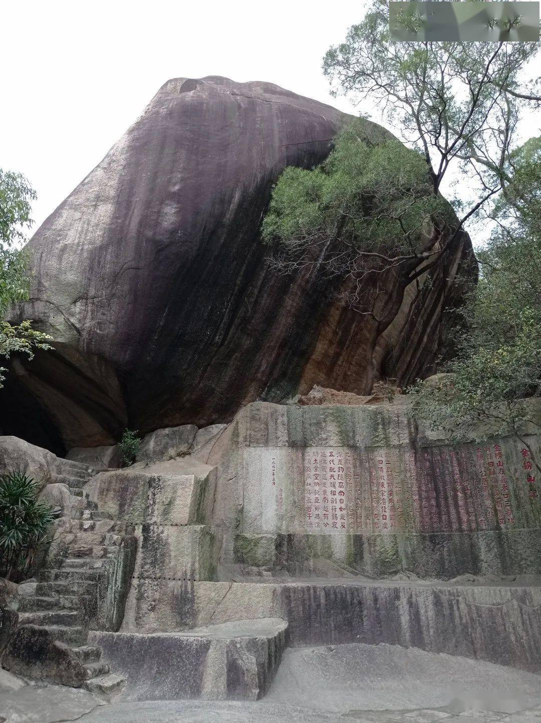 据传朱熹著文的《金榜山记》石刻迎仙楼钓隐亭边的石壁小洞里顽强长出