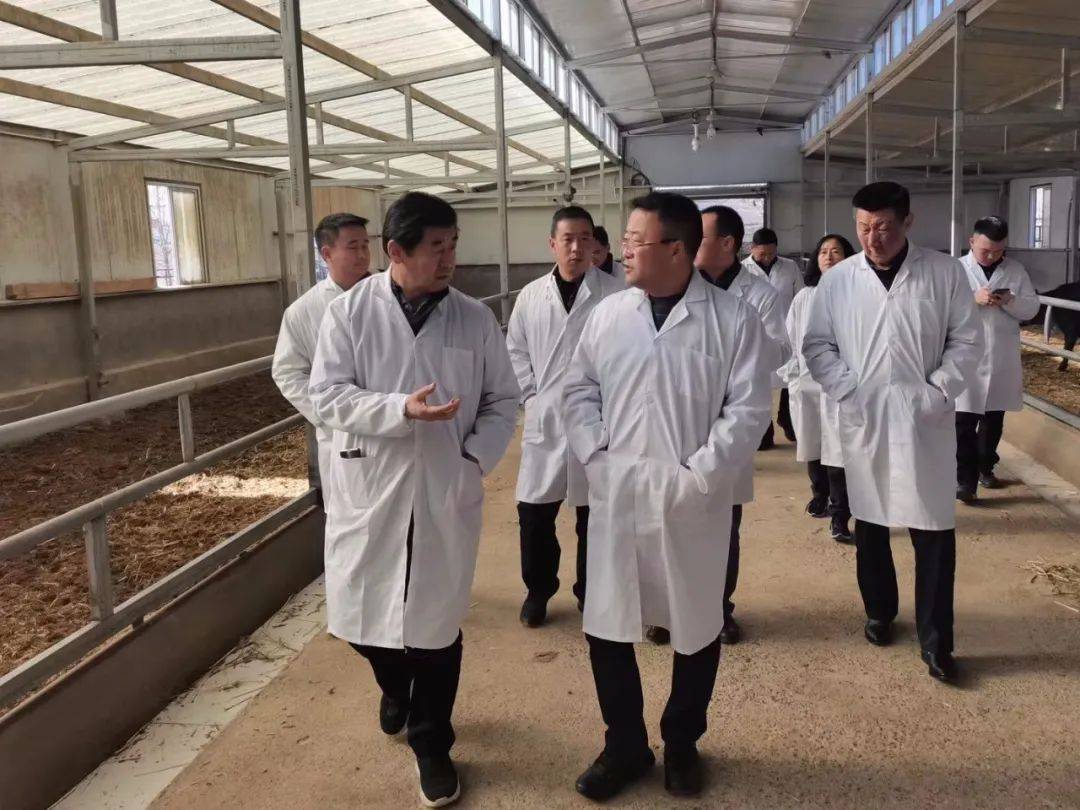 州政协赴乌兰县开展重点提案督办调研