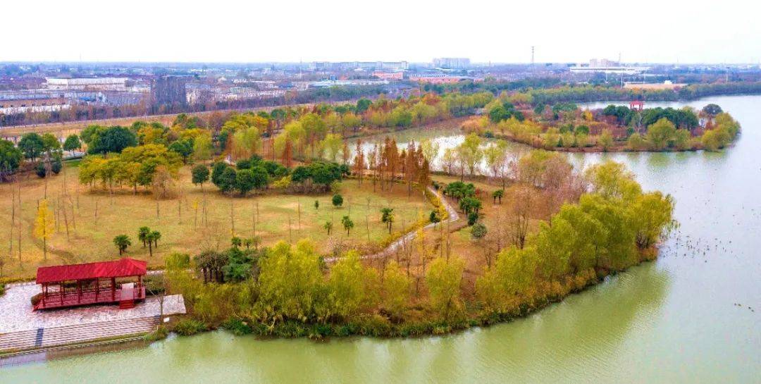 冬季西溪植物园美醉了