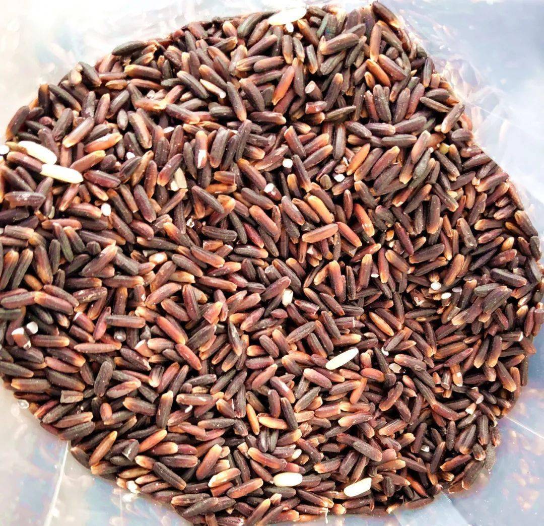 紫米你见过吗桂平这个村种植有面积达80亩的紫米稻