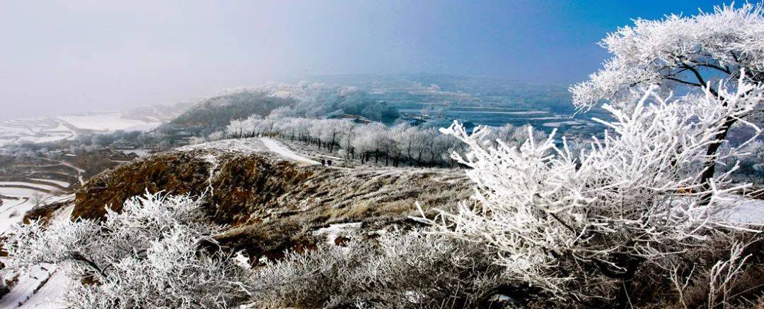 悄悄来了冬天的第三个节气,大雪飘飘扬扬的雪花迈着轻盈的舞步随风落