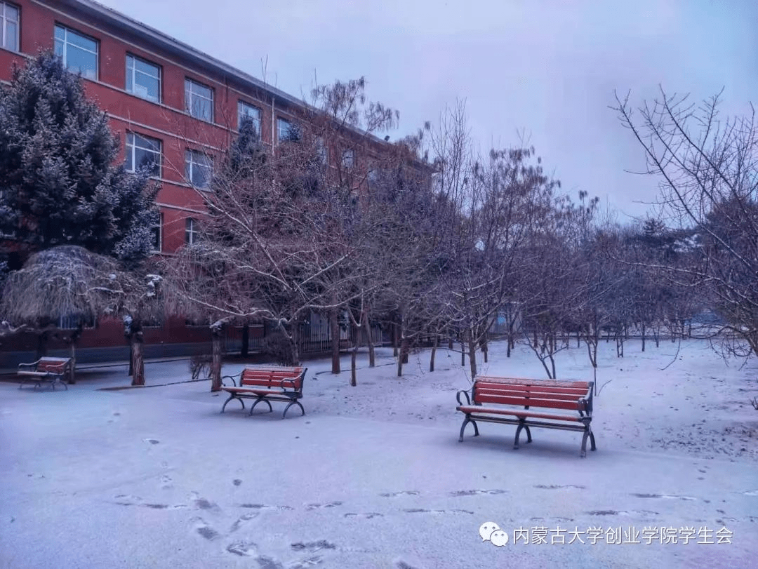 来源:内蒙古大学创业学院学生会二八笙歌云幕下,三千世界雪花中