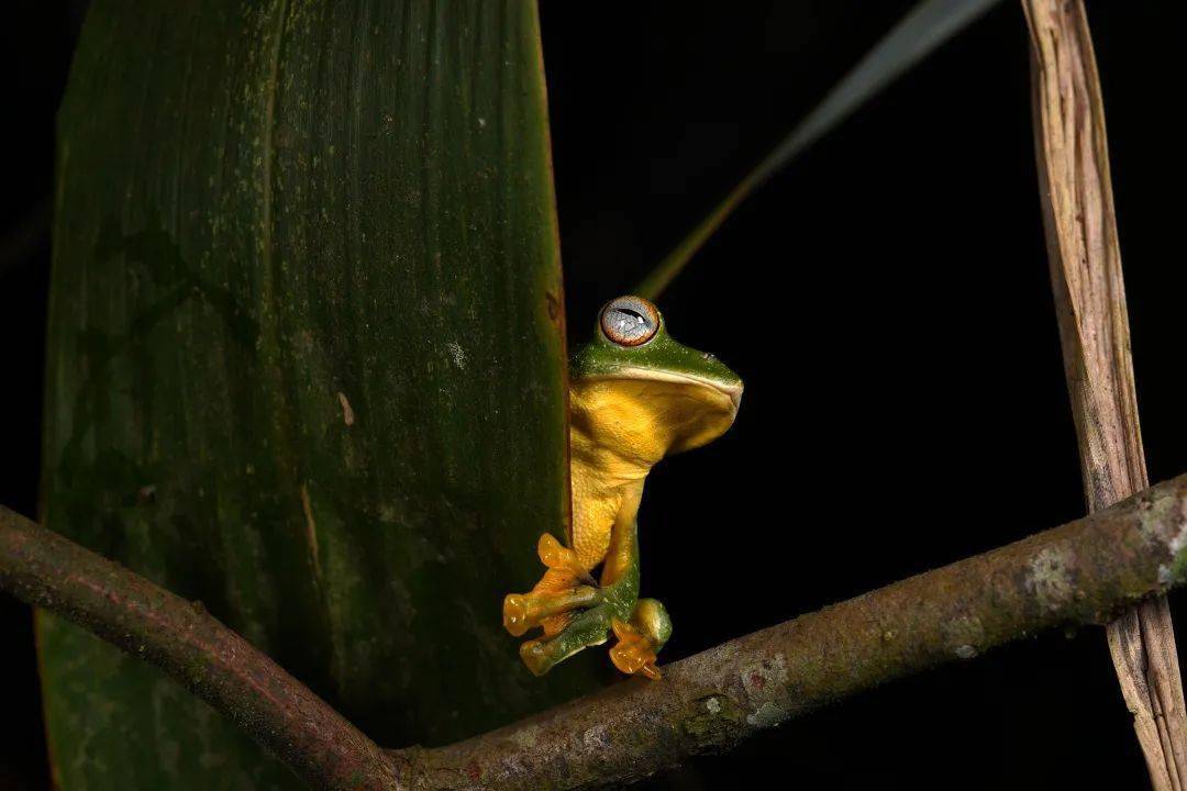 投稿分享今年您拍片了吗