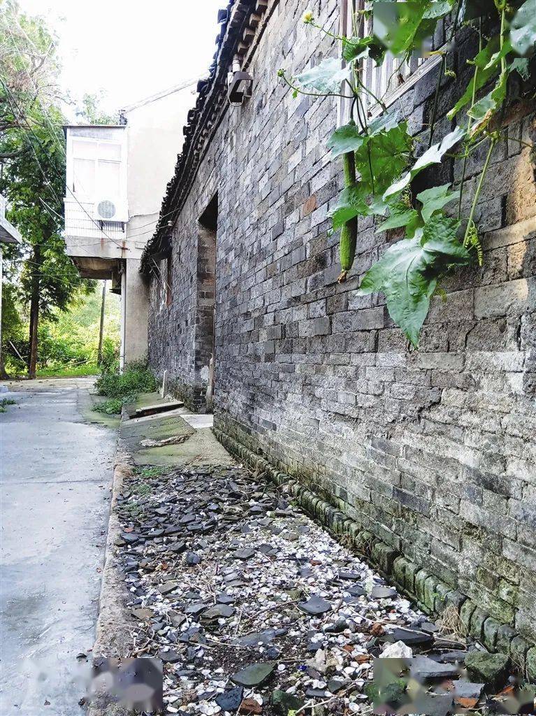 这些地方你去过几个靖江老巷再现芳华