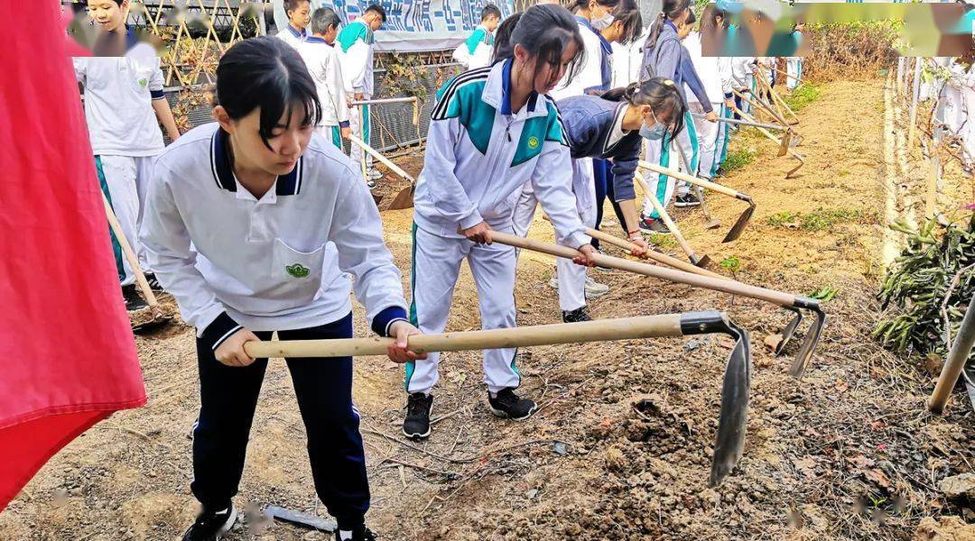 初二年级学农活动