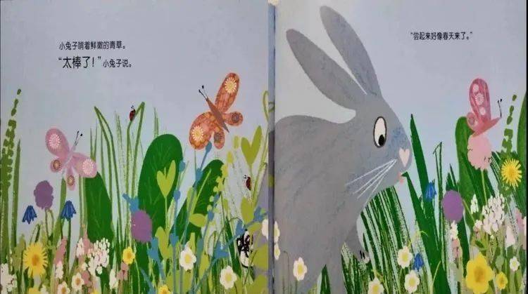 小兔子找春天绘本制作图片