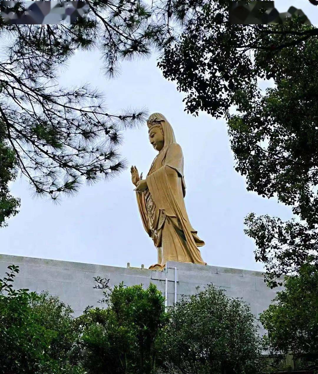 还有潮音洞,普济寺,这里不仅有静谧美好的风景,也是我国佛教四大名山