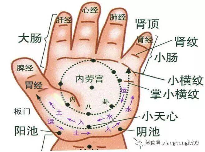 人体穴道图值得收藏有空捏捏畅通心肝脾肺肾