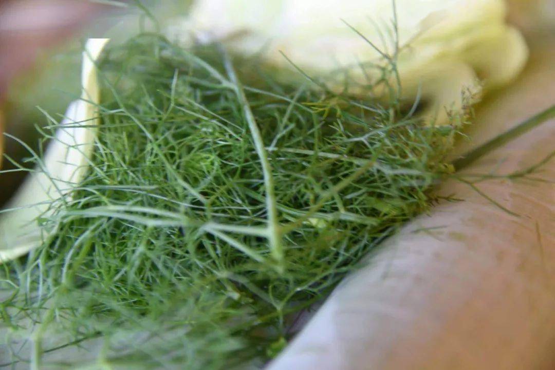 苤菜根,大芫荽,小芫荽,香蓼,香茅草,香蕉苗,茴香苗,火镰菜,花椒叶