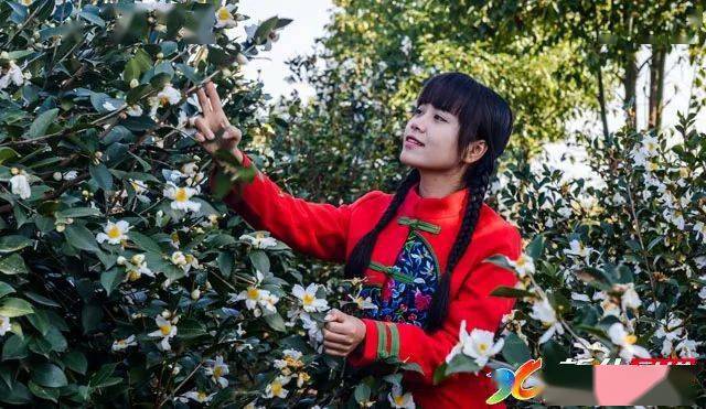 新化坐拥几百万粉丝的两大网红美女你认识吗