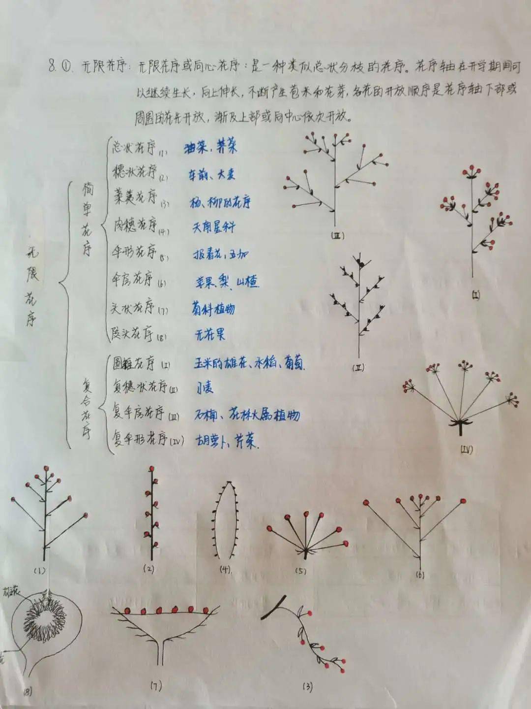 學霸筆記我們要來了這次植物學再考不過就是你不對勁了