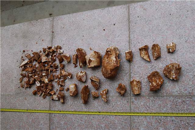 4名男子为弄点钱花偷摸上山盗掘95公斤恐龙化石