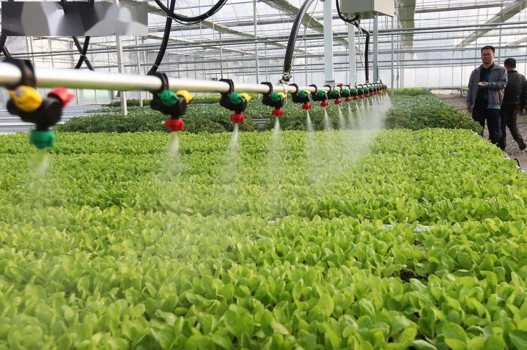 农业种植技术 农业种植知识大全