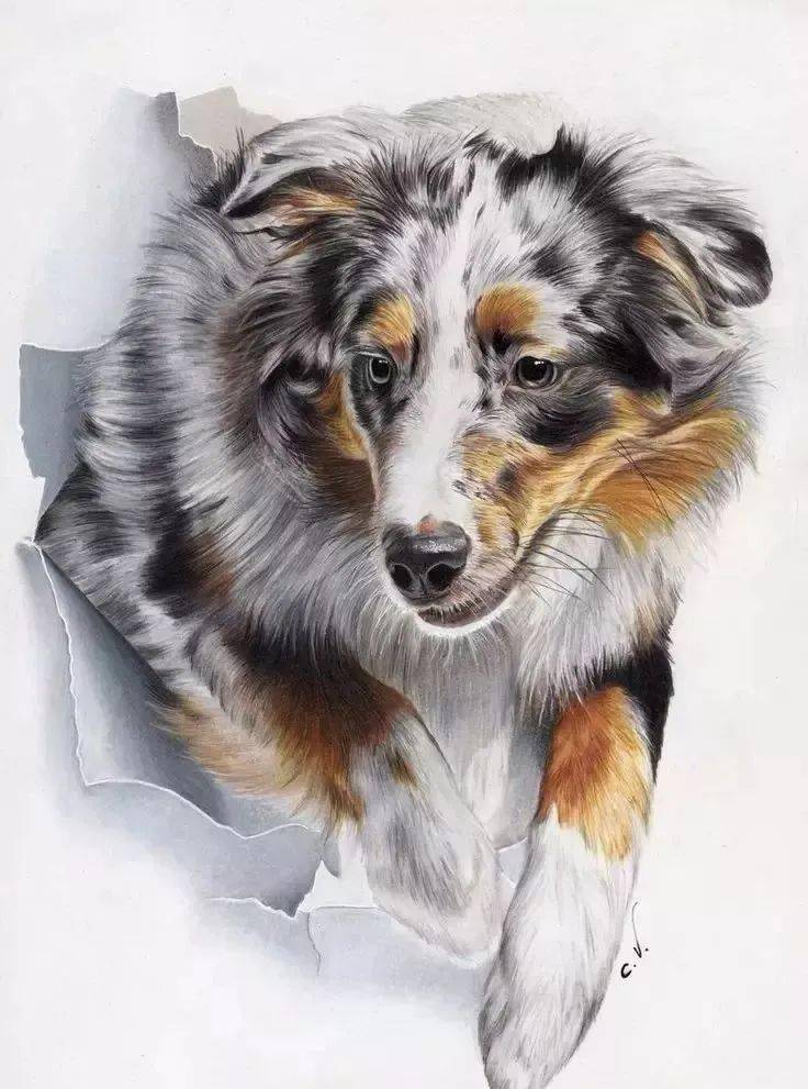 你相信吗这些画都是用彩色铅笔画出来的