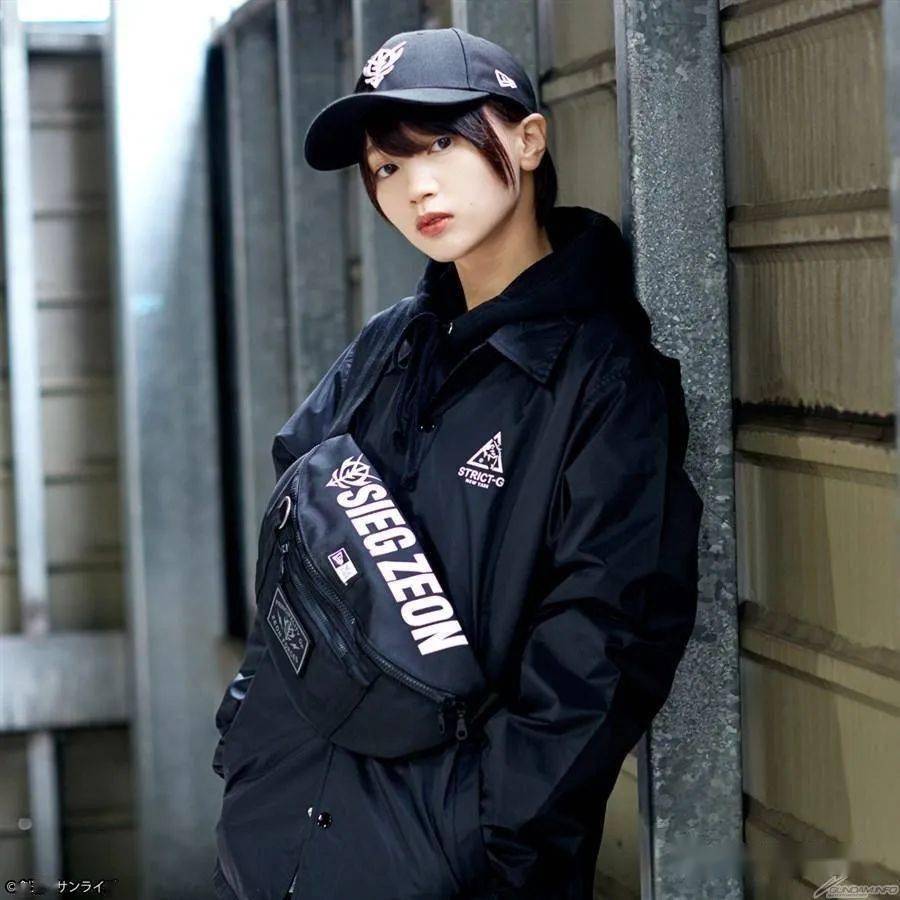 strictgnewerasiegzeon收藏纯黑色登场
