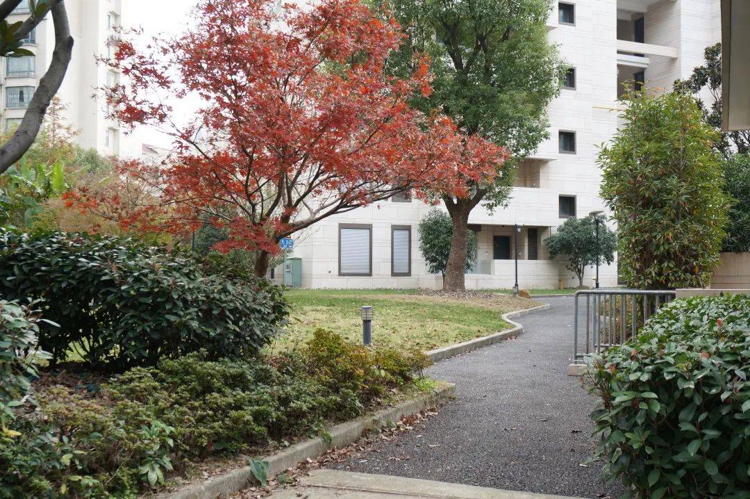 实探徐汇内环内全新盘承安瑞园入市时间也问了