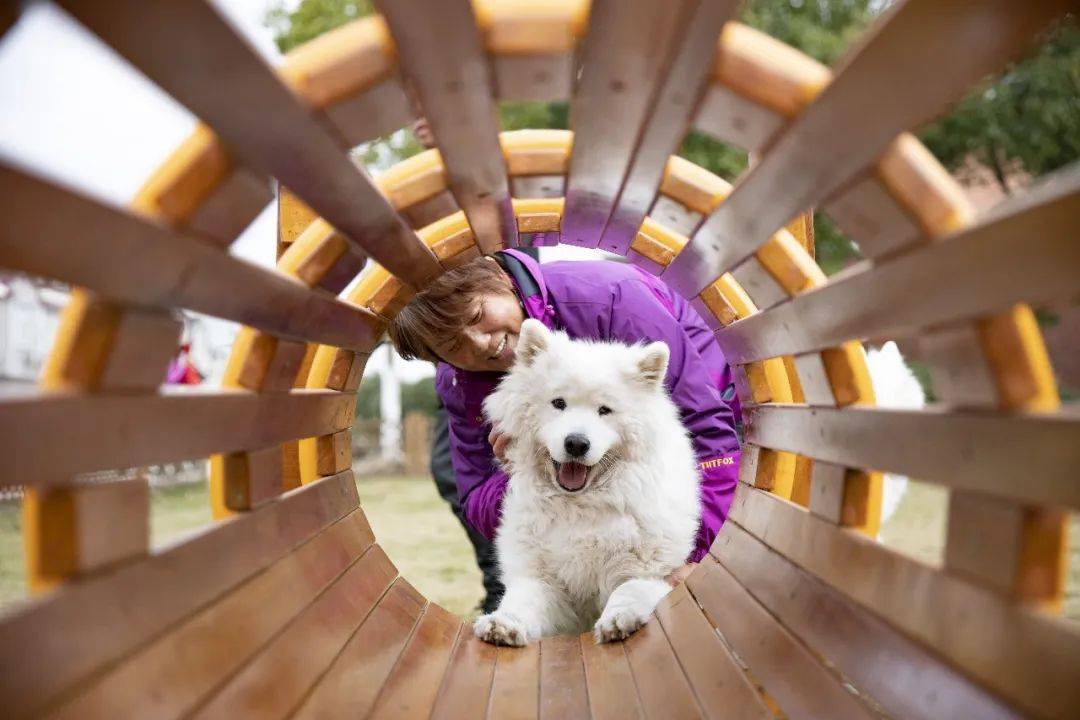 58亩的"萌宠乐园"你爱了吗?再也不用担心毛孩子没地玩了_狗狗