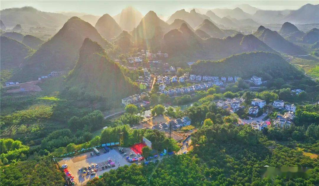 高清组图恭城红岩村月柿丰收景色快来一睹为快