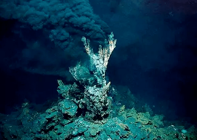 海底恐怖图片 巨型图片