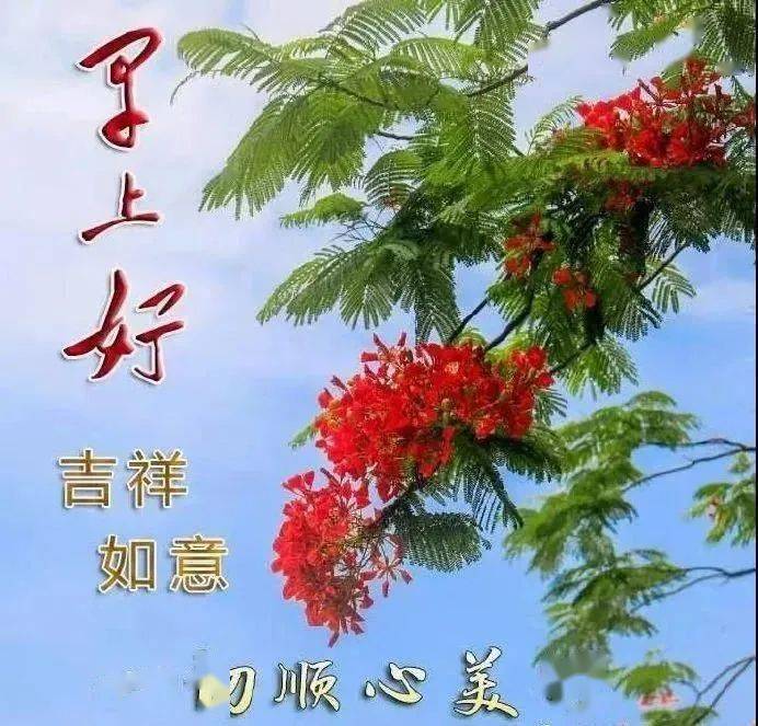 老同学早上好带字图片每天问候友谊香甜保持童心夕阳更好