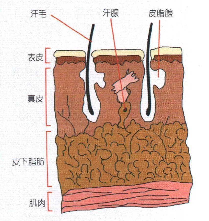 方便好用老人日常清潔護理全圖解