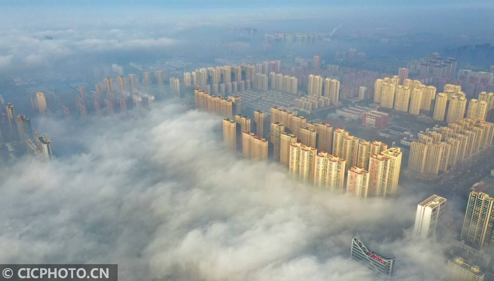 安徽亳州冬日雾城似仙境