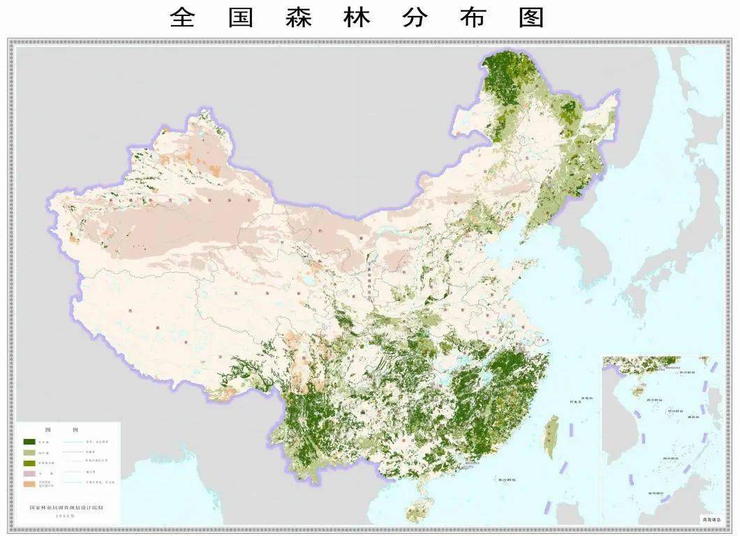 世界森林资源分布图图片