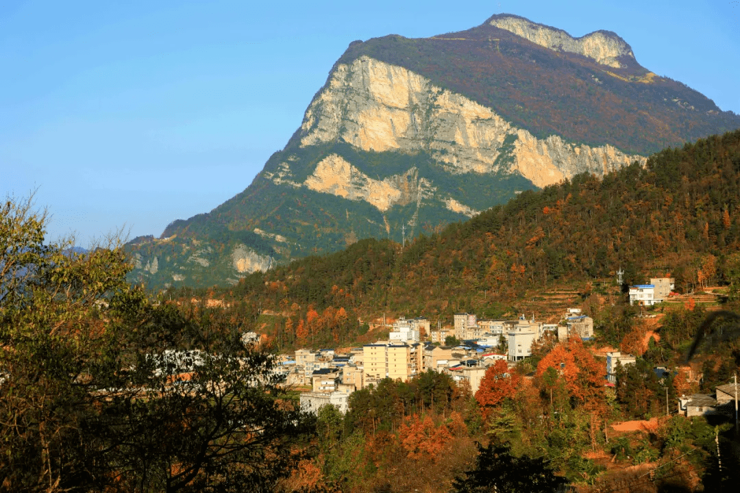 深入鹤峰县邬阳乡龚家垭村对邬阳,下坪一带传说的红军营长龚芳清的