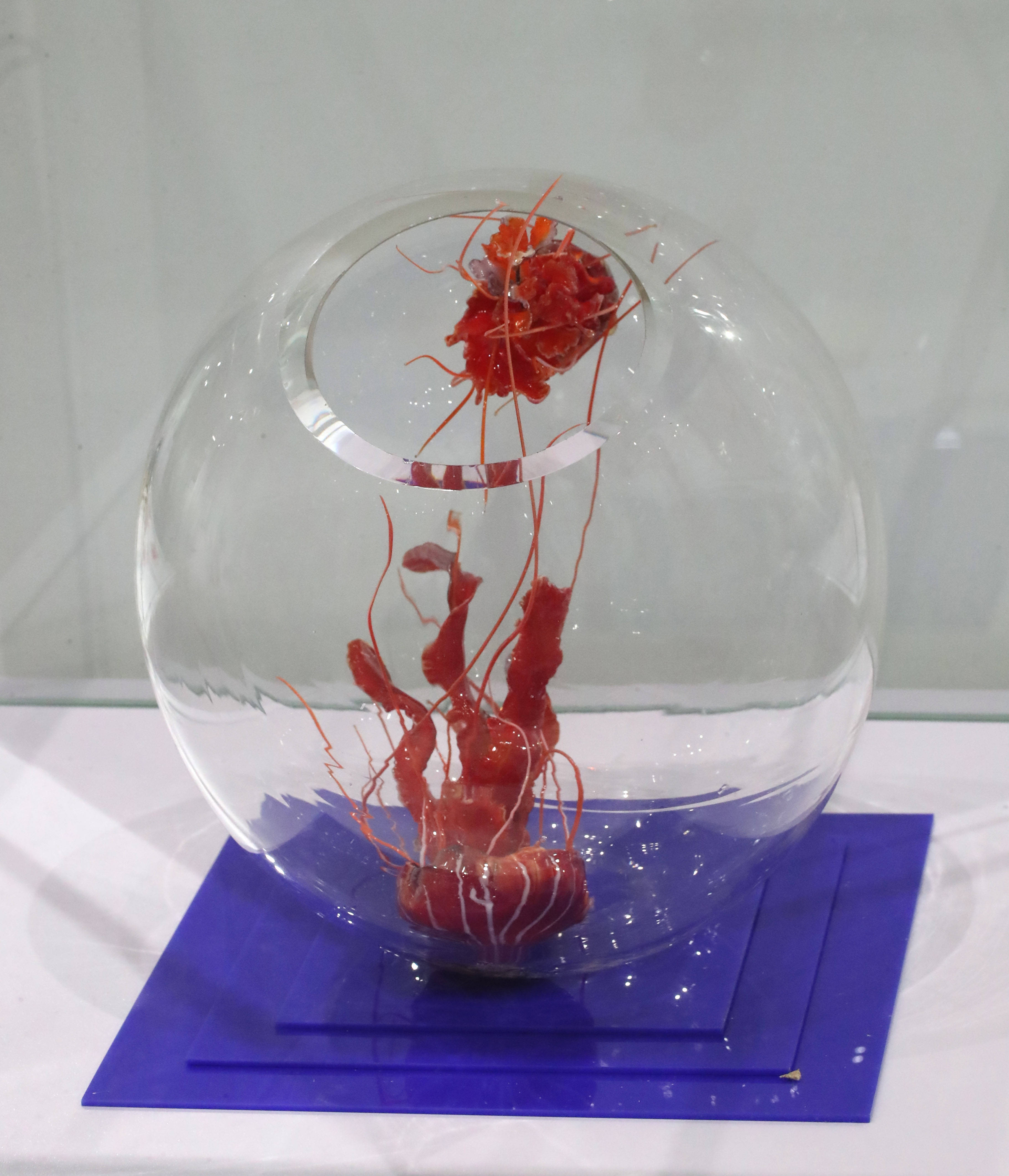 第五届中国河间工艺玻璃设计创新大赛暨第四届中国河间国际灯工玻璃