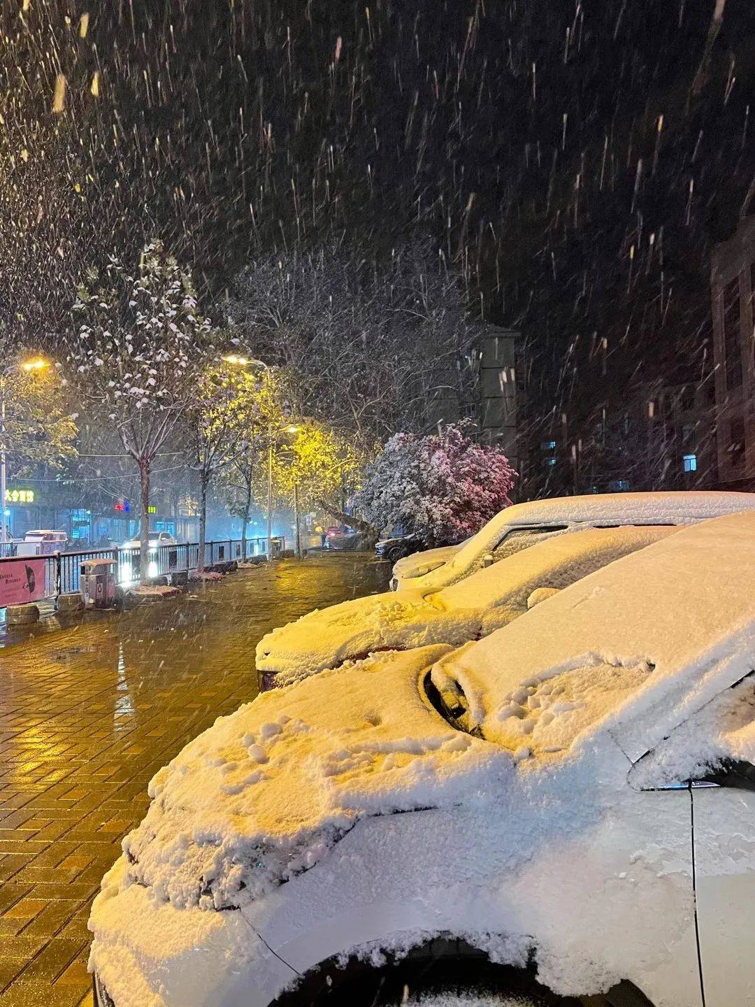 浦城下雪图片