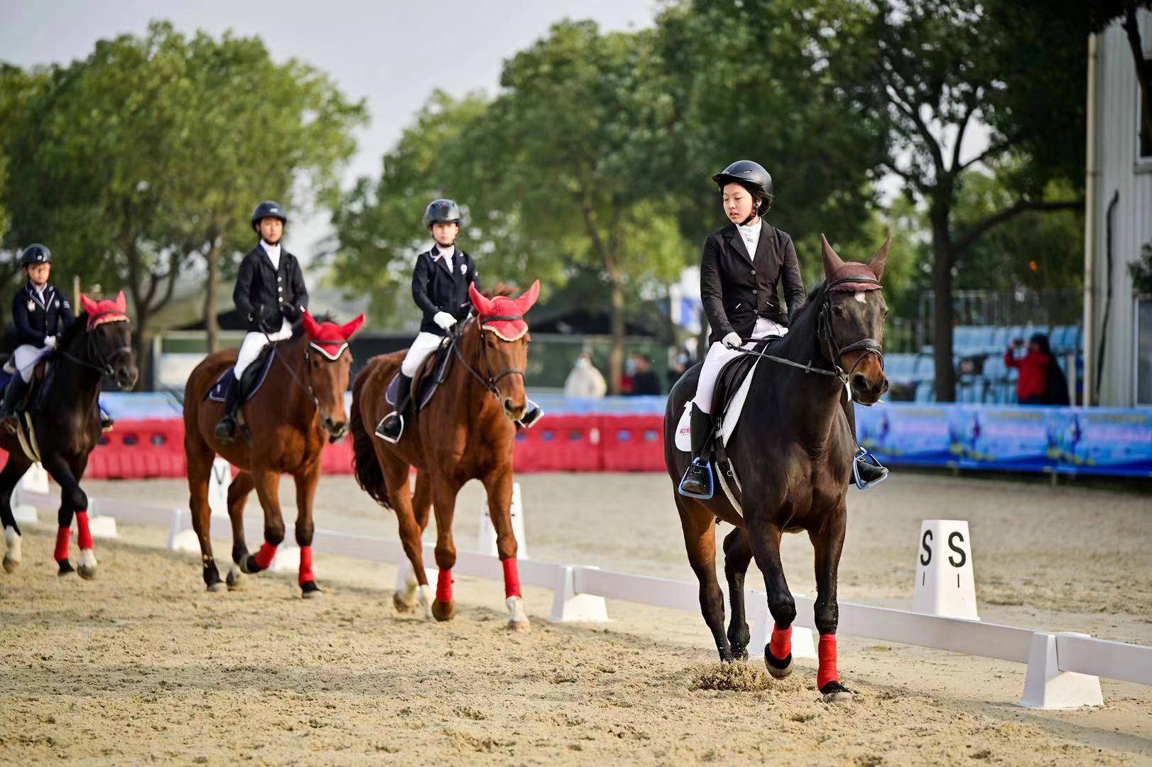 飒!马术进校园,"贵族运动"成上海校园育人新载体