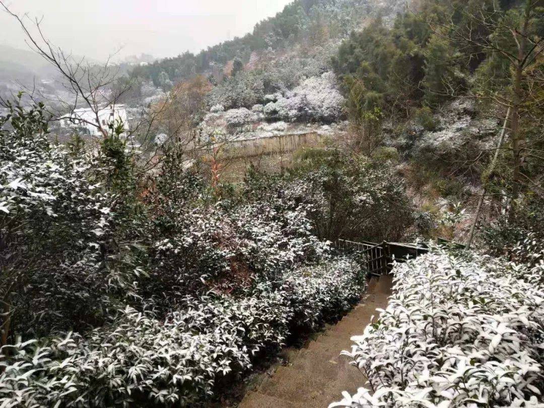 南昌下雪了_梅岭
