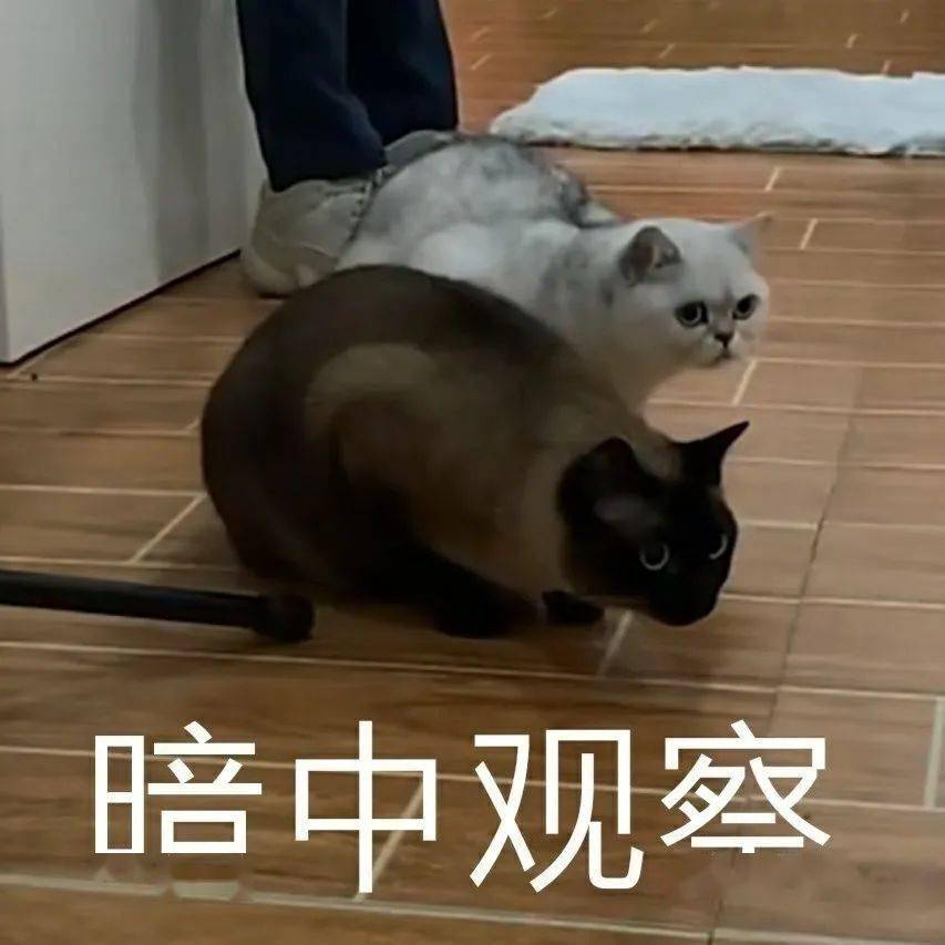 是不是非常熟悉呢?这些声音"你怎么笑得这么僵硬""好丑啊"