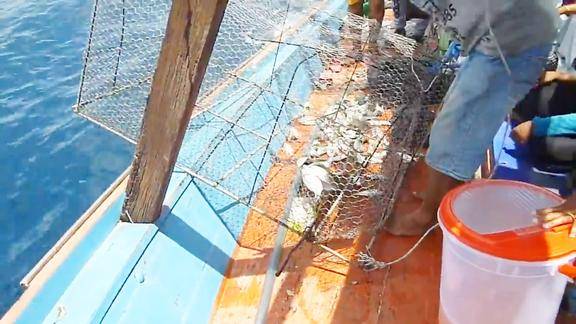 这也太重了吧那么大的铁笼子用来捕鱼效果确实给力