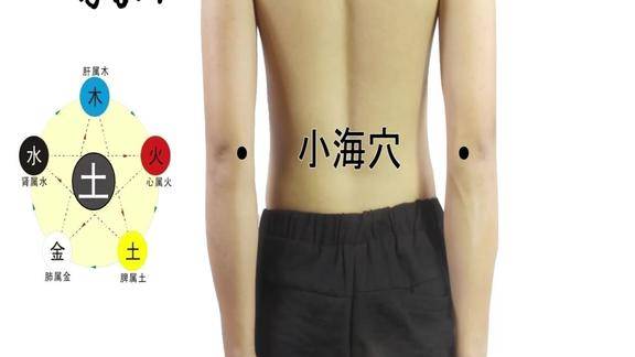 脉络中医艾灸针灸取穴小海穴