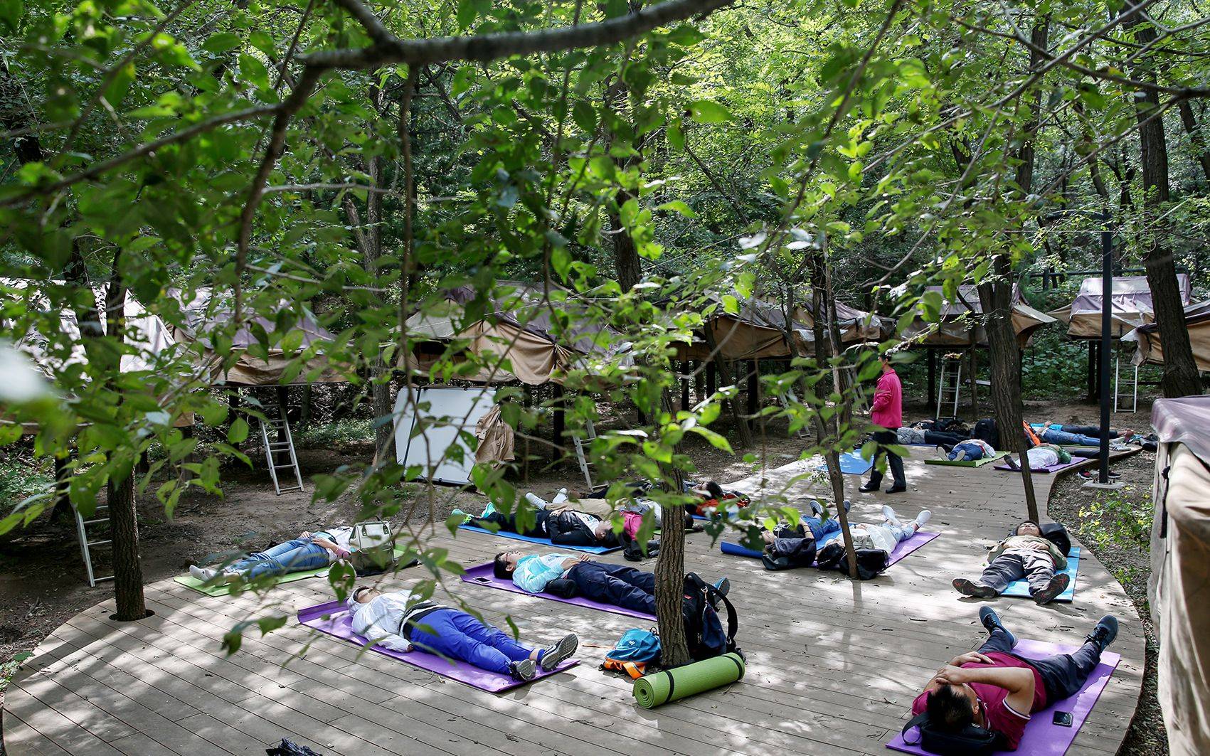 森林如何治愈人类记者探访国内首个森林疗养基地