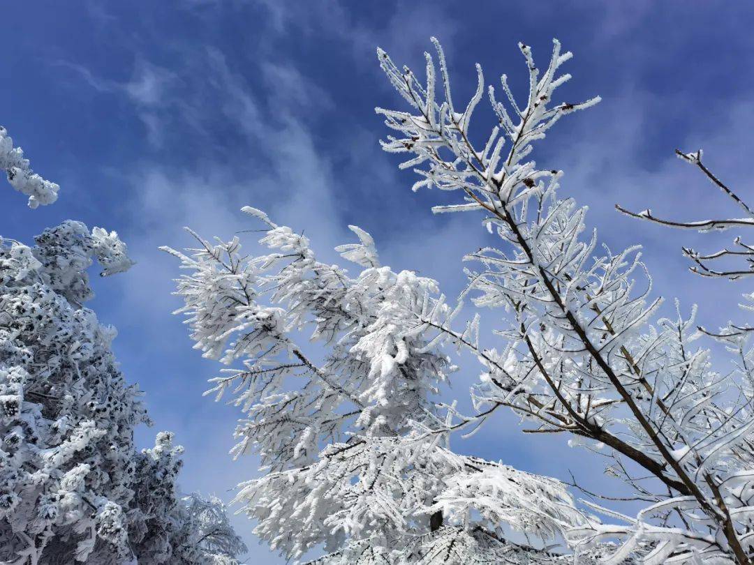 拖乌山雪景图片